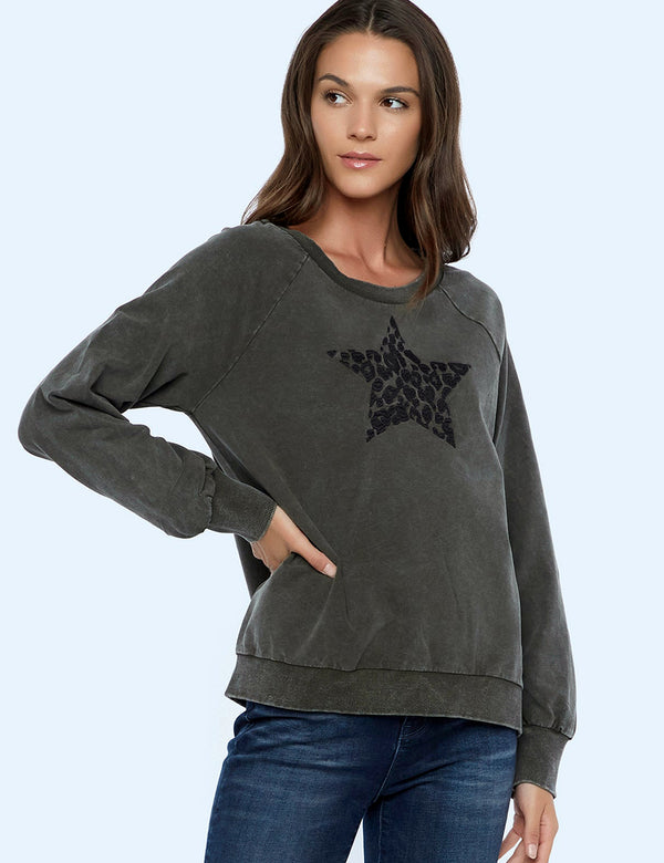 Animal Power Star Embroidery Sweatshirt Front View