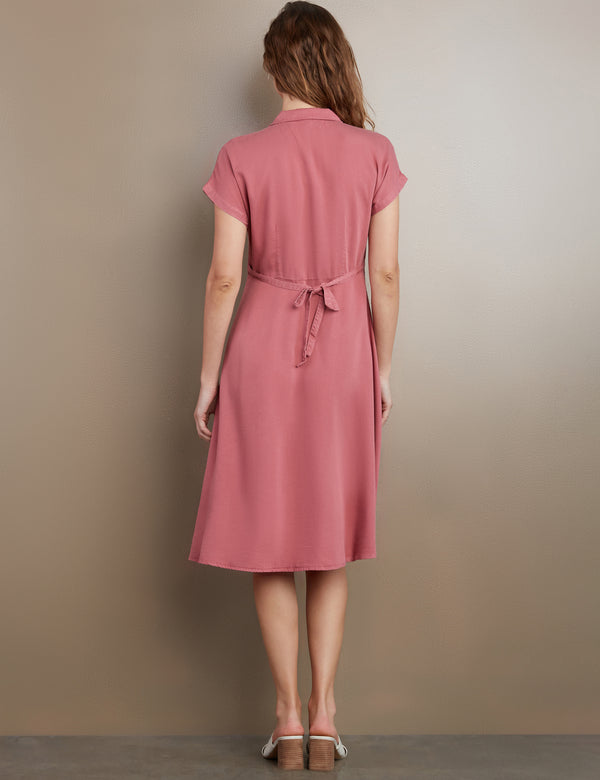 Women's Designer Lydia Dress in Pink