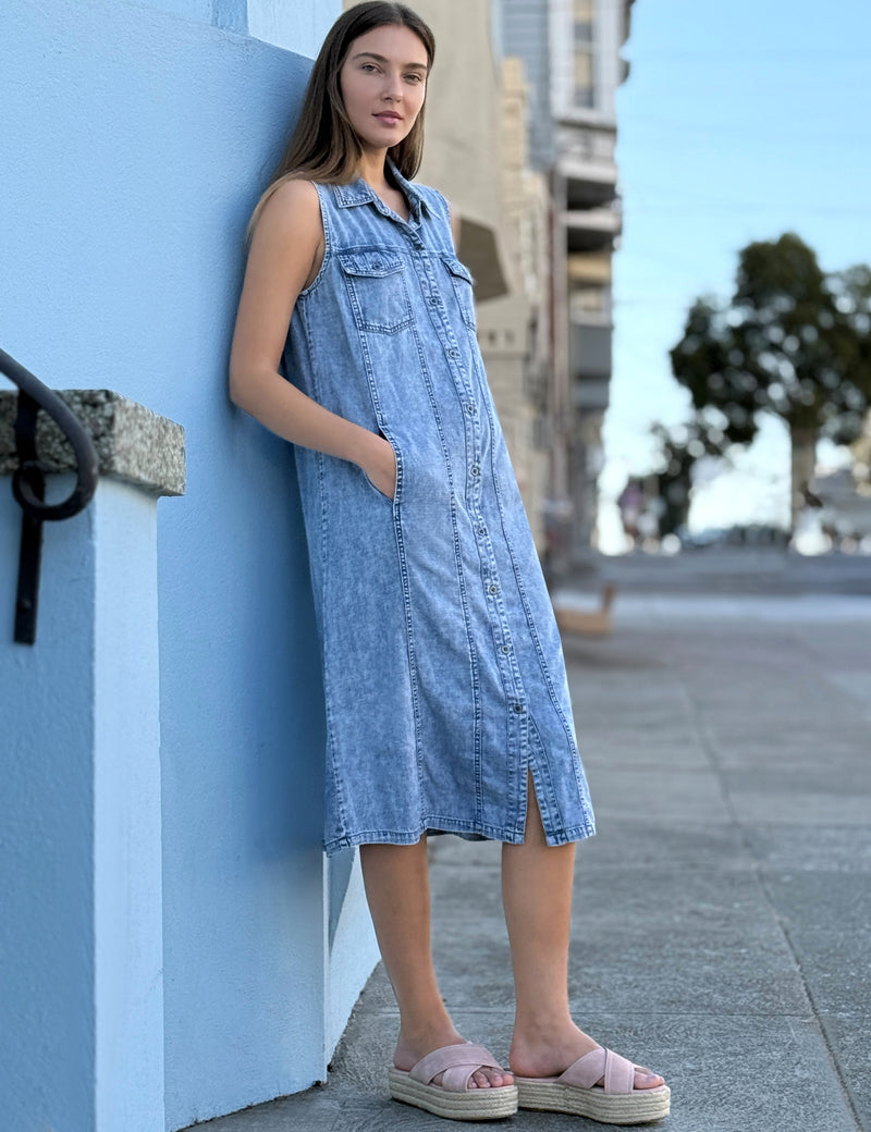 Seamed Sleeveless Shirtdress