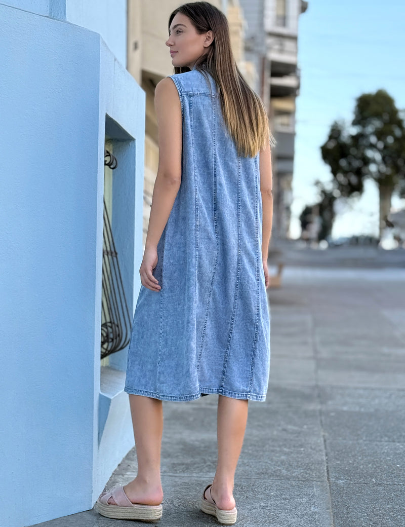 Seamed Sleeveless Shirtdress