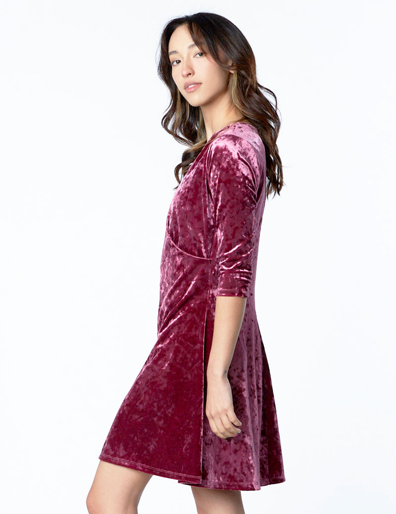 Women's Fashion Brand Berry Velvet Skater Dress